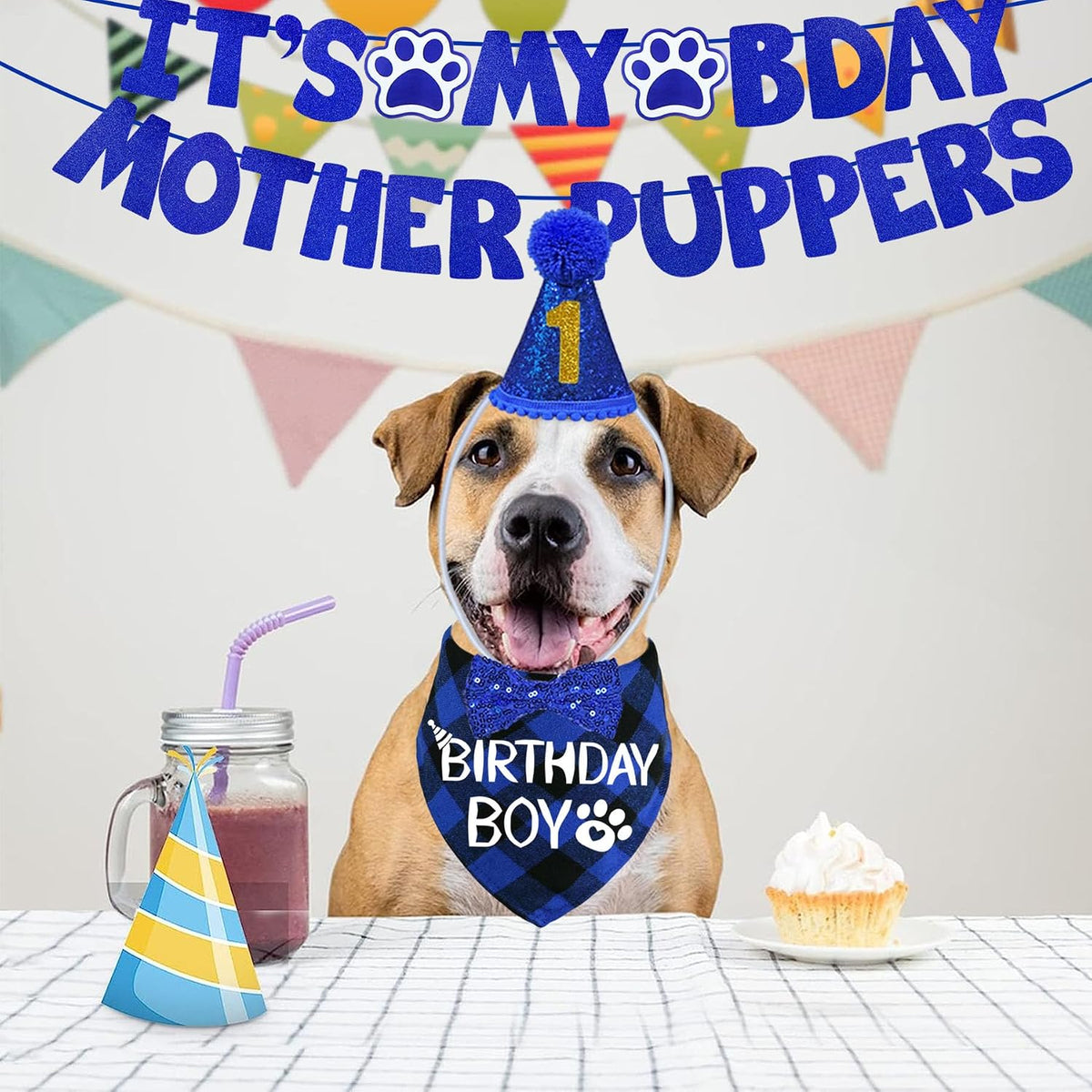 STMK Dog Birthday Decorations - Large / Blue - image 2