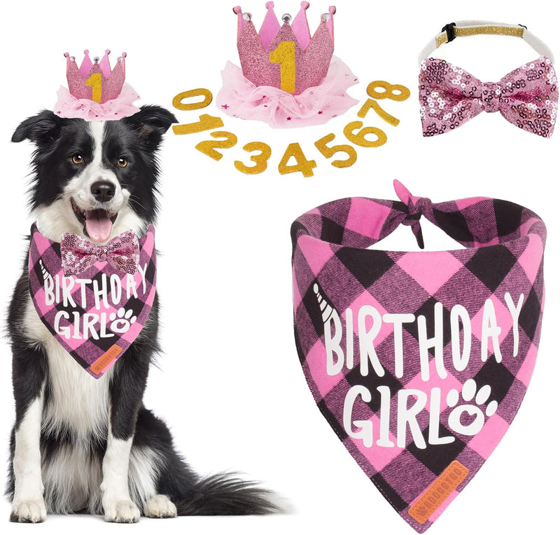 Dog Birthday Hat Bandana Set, Pink Plaid Girl Dog Bandana - Large / Pink