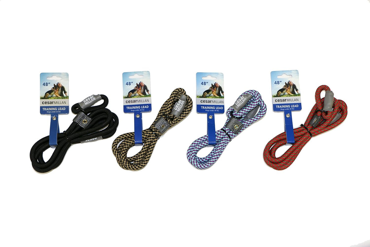 Cesar Millan Slip Lead Leash, Dog Leash, in Training Leash - Large / Grey