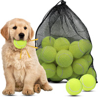 Magicorange Dog Tennis Balls - Yellow / 20 Pack