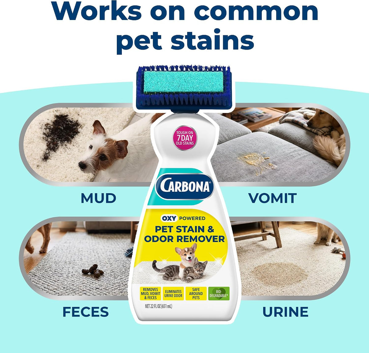 Carbona 2-in-1 Oxy-Powered Pet Stain & Odor Remover - image 3