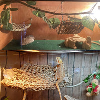 2 Pack Large Bearded Dragon Hammock - 3Pcs-Square+Triangle+Rectangle - image 2