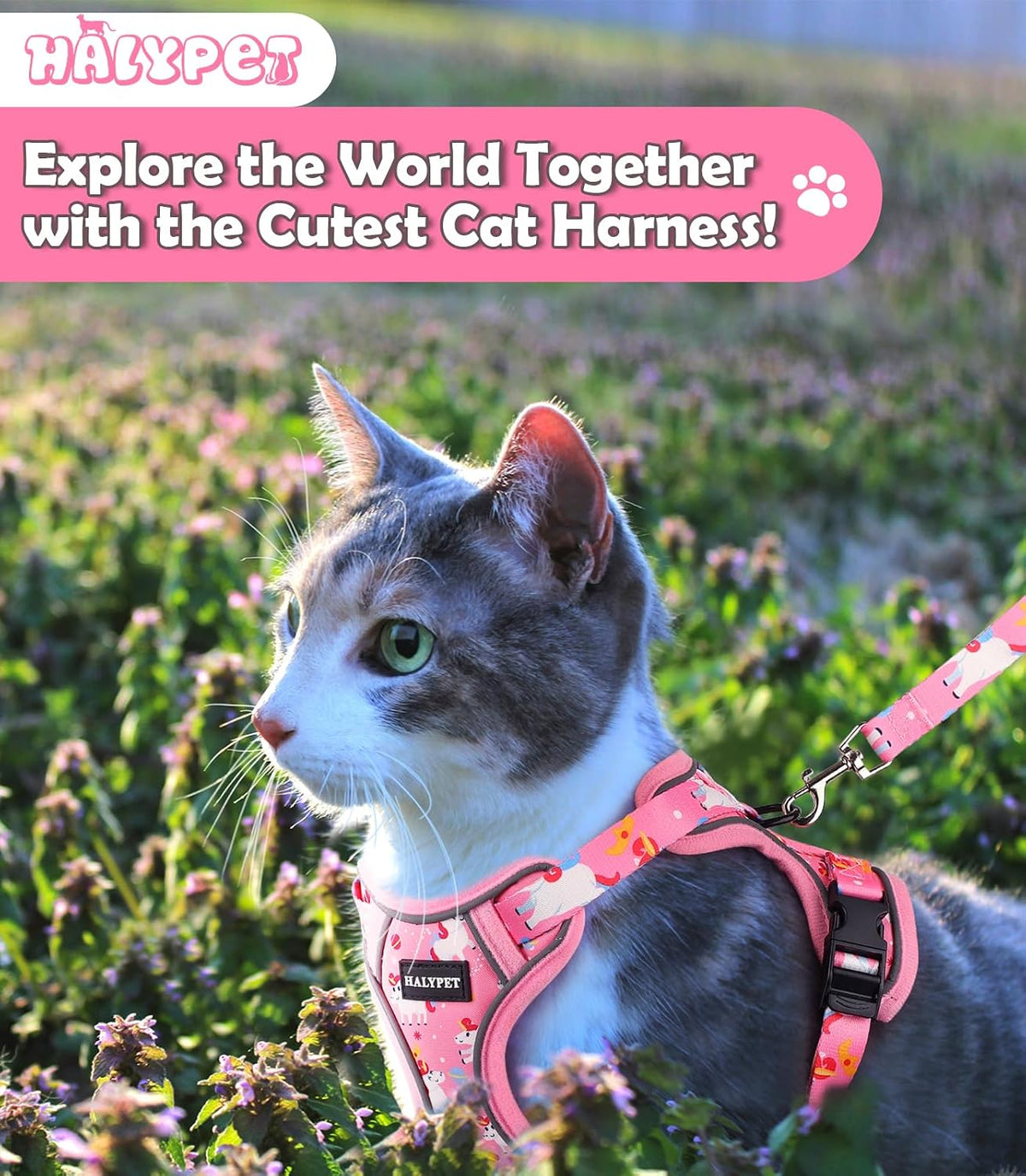 Cat Harness and Leash Set[MAX Safety 4th-Gen] Cute Escape Proof Vest - H603 Pro Pink Unicorn / X-Small (4-6lb) - image 2