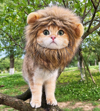 Lion Mane Wig for Cat Costume Pet Adjustable Washable Comfortable - image 2