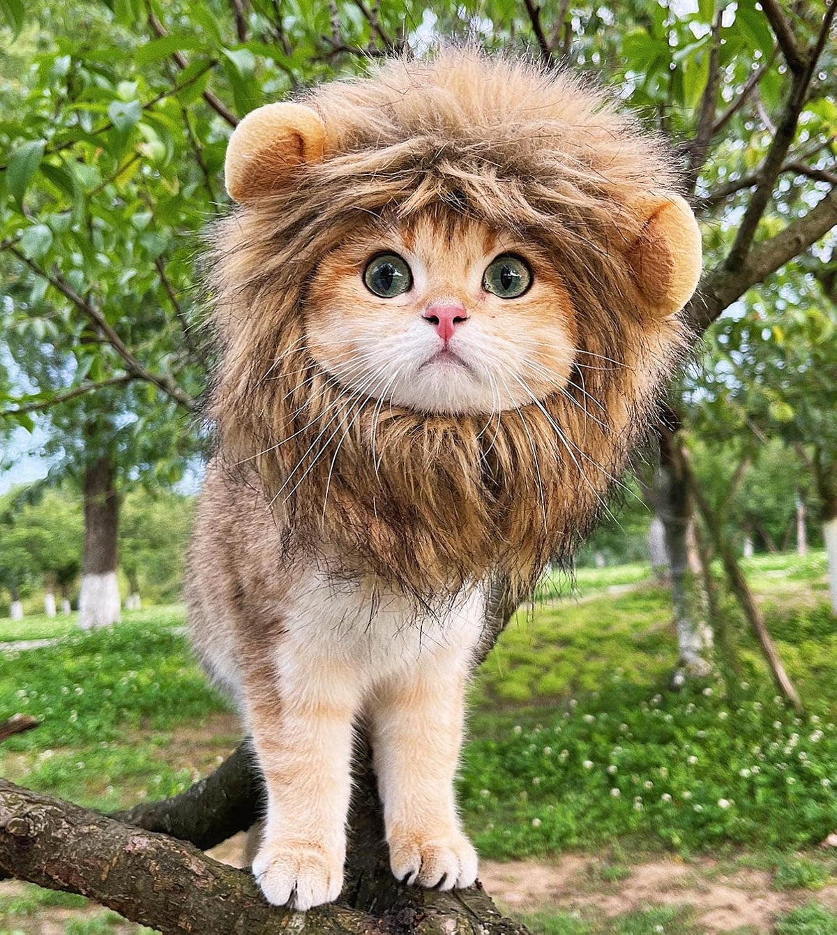 Lion Mane Wig for Cat Costume Pet Adjustable Washable Comfortable - image 2
