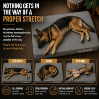 The Dog’s Bed Orthopedic Memory Foam Dog Bed - Grey Linen / XL Beds (6" deep) - image 3
