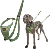 Halti No Pull Dog Harness, Size M - Forest Green / L