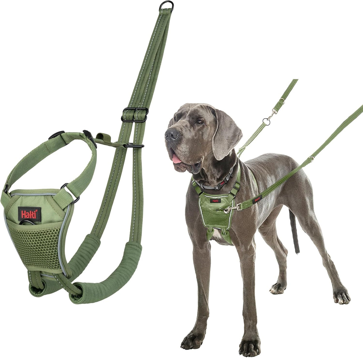 Halti No Pull Dog Harness, Size M - Forest Green / L