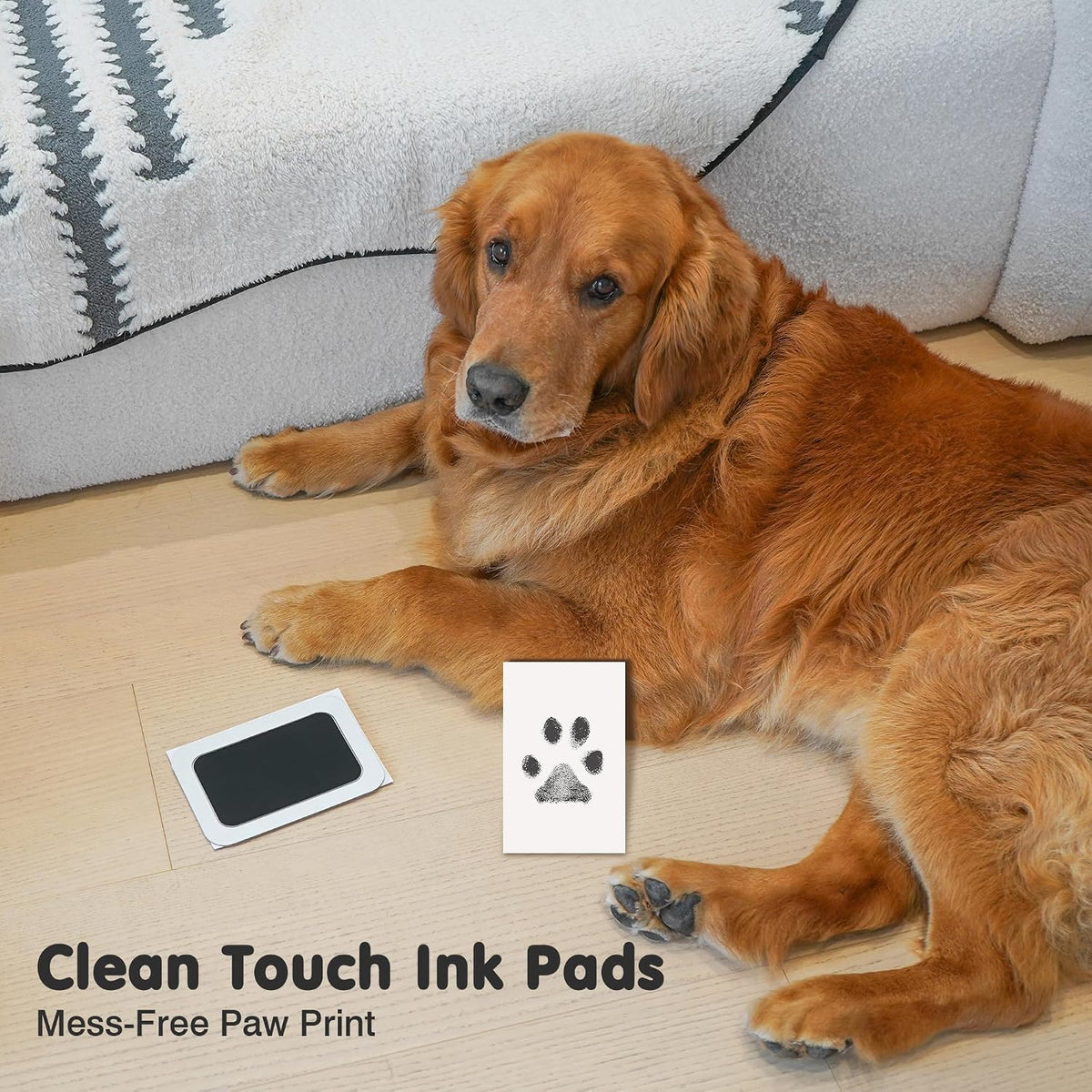 Inkless Paw Print Kit for Dogs, Cats & Babies - Black/Gold Pad,Vintage White Wood Frame / 4-Pack,Medium - image 3