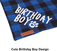 Dog Birthday Hat Bandana Set, Blue Plaid Boy Dog Bandana - Large / Blue - image 2