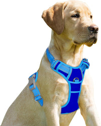 BARKBAY Dog Harness No Pull for Large Dogs Front Back Clips - Small(Chest:19.5-26") / Sapphire Blue & Blue