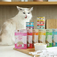 Weruva Wet Cat Food, Who Wants to be a Meowionaire with Chicken and Pumpkin Pate, 3oz Can, Pack of 12
