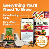 HOME GROWN 𝗨𝗦𝗔 𝗣𝗥𝗘𝗠𝗜𝗨𝗠 Rainbow Carrot Seeds – 2500+ Heirloom Seeds (10 Varieties) – High Germination, 𝗡𝗢𝗡-𝗚𝗠𝗢 Vegetable Seeds for Planting Indoors or Outdoor Home Garden