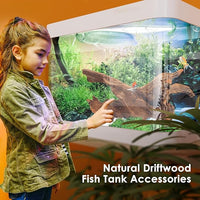 Natural Small Aquarium Driftwood for Fish Tanks & Reptile Terrariums – Safe Fish Tank Decorations, Unique Twisted Branches 10-Piece 2-4 Inch Low Tannin, Easy to Sink
