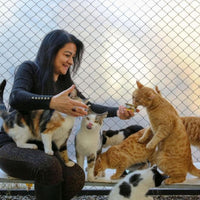 Cat Netting Balcony, Safety Net for Cat - 10x13 ft - image 3