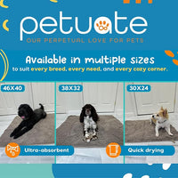 Pet 2-in-1 Dog Towel & Mat – Transforms from Drying to Bath Mat, Ultra Soft, Absorbent & Quick-Drying, Machine Washable Dog Towels with Detachable Non-Slip Mat and Hand Pockets (Medium)