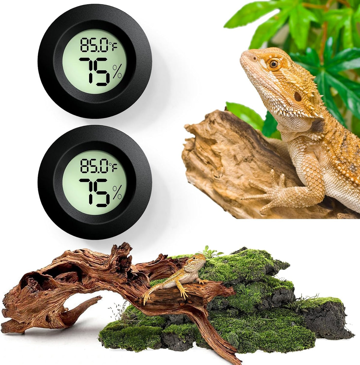 Reptile Thermometer and Humidity Gauge - 2PCS Rounded