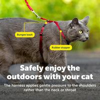 PetSafe Come With Me Kitty Harness and Bungee Cat Leash - Medium (Pack of 1) / Red - image 2