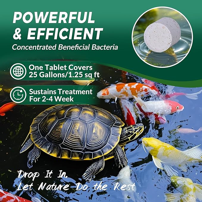 Muck Clear – Natural Pond Sludge Treatment, 2 LB for Ponds, Fountains & Bird Baths, Beneficial Bacteria & Enzymes, Chemical-Free & Safe for Fish, Pets & Wildlife