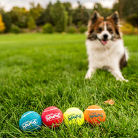 Outward Hound Squeaker Ballz Tennis Ball Dog Toy, 2.5", 4‑Pack - Multi Squeaker Balls / Small / Small - image 4