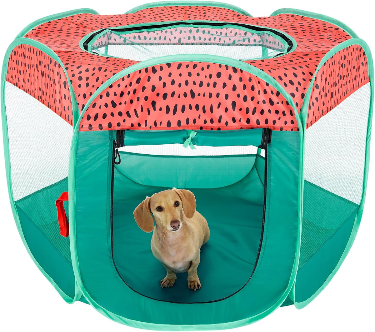 FurHaven Soft-Sided Dog & Cat Playpen - Green & Pink / Medium