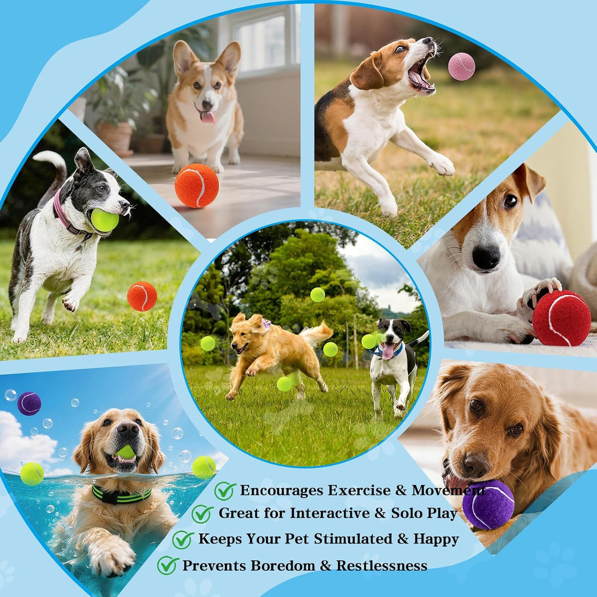 Magicorange Tennis Balls for Dogs - Multicolor / 36 Pack - image 4