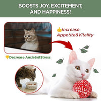 JAYU PET Active Catnip Spray - High Potency Transparent Liquid Spray made of Fresh Organic Catnip for Indoor Cats and Kittens, Relieves Stress, Calming, Revives Toys (1fl oz) (Catnip Spray, 1fl oz)