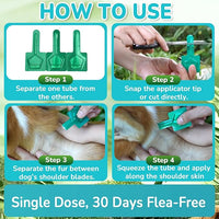Flea and Tick Prevention for Small Dogs, 6-Month Supply Dog Flea and Tick Treatment Drops, Topical Fast-Acting Dog Flea Treatment for Small Dogs Up to 5 to 22 lbs