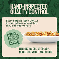 Bulk Dried Mealworms - 10 Lb Bag - Non-GMO Dried Mealworms for Chickens, Ducks & Wild Birds - High-Protein Chicken Feed & Bird Food