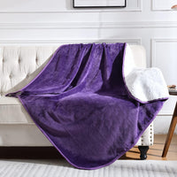 Soft Waterproof Blanket for Bed Couch Sofa - 60x80 inches / Dark Purple