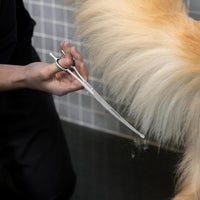 Tweezerman Pet Grooming Scissors-Rounded Tip Trimming Scissor - 9" Shears - image 4