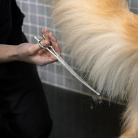 Tweezerman 9" Pet Grooming Scissors with Safety Round Tips, Professional Curved Grooming Shears for Medium to Large Dogs