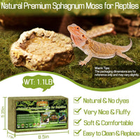 9 OZ Sphagnum Moss for Reptiles, Green Terrarium Moss - 1.1LB - image 2
