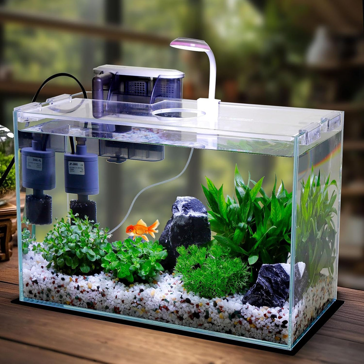 Vimvins 5 Gallon Glass Small Fish Tank with Filter Light and Lid - 5 Gallon - image 2