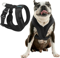 Gooby Comfort X One Dog Harness, Choke-Free - Small Chest (13.75-17") / Black