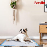 BESTLE Extra Large Pet Training and Puppy Pads Pee Pads for Dogs - 18-Count - image 2