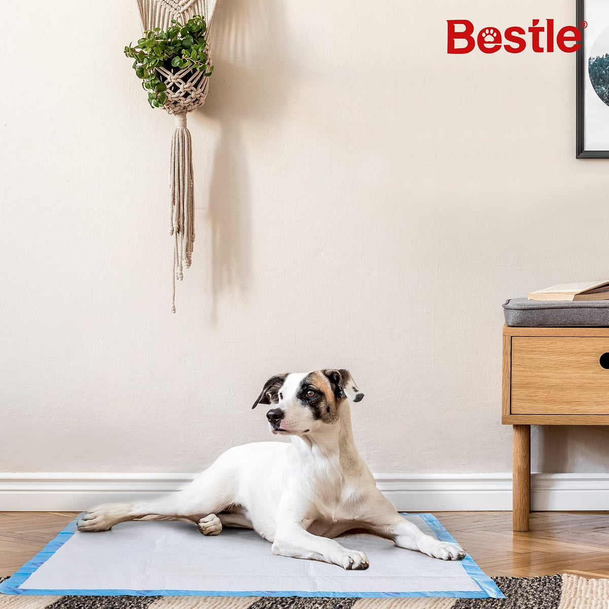 BESTLE Extra Large Pet Training and Puppy Pads Pee Pads for Dogs - 18-Count - image 2