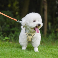 AIITLE Small Dog Harness and Leash Set, Step-in Puppy Pet Vest - XXS(Chest: 10 - 11.5") / Beige - image 2