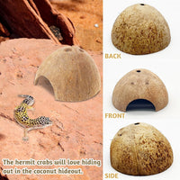 PINVNBY 2 PCS Natural Coconut Reptile Hideouts Lizard Coco Hut Hermit - Smooth Surface / 6 PCS - image 4