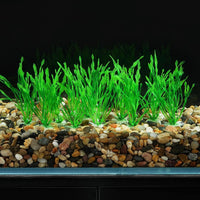 AQUANEAT Fish Tank Artificial Plants - 4inch - image 2