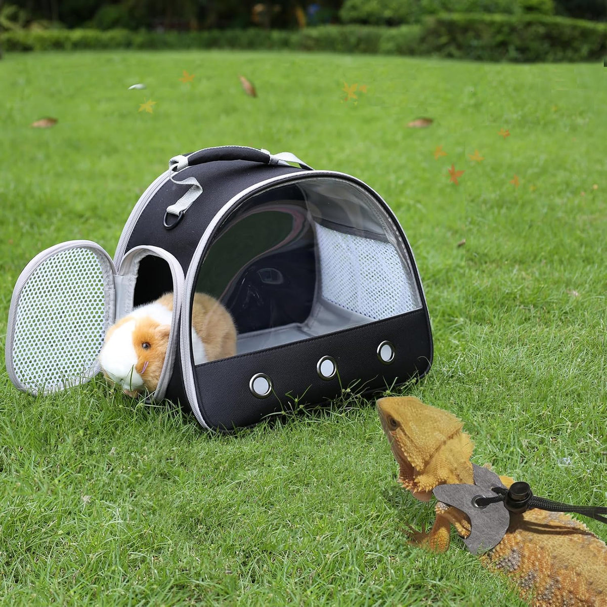 Bearded Dragon Travel Backpack with Harness and Leash Set - Black / Carrier+LSH Grey - image 4