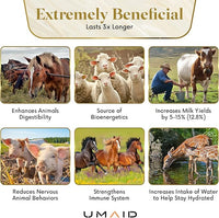 UMAID Himalayan Salt Lick 6 lbs. on Rope for Horses, Deer, Goats, Cow, Sheep, Cattle, Alpacas, and Livestock – Mineral Horse Treats, Natural Himalayan Rock Salt Block for Deer and Horses, 4 Pack