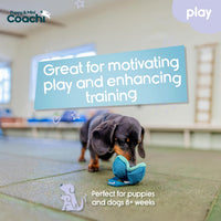 Coachi Puppy & Mini Tuggi Tug, Dog Toy for Tug of War & Play - Chase & Treat - image 2