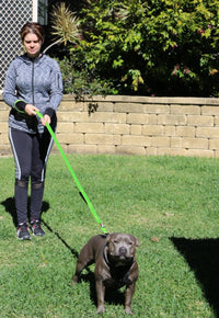 Dog Leash 6ft Long, Traffic Padded Two Handle, Heavy Duty - 6FT / Green - image 4
