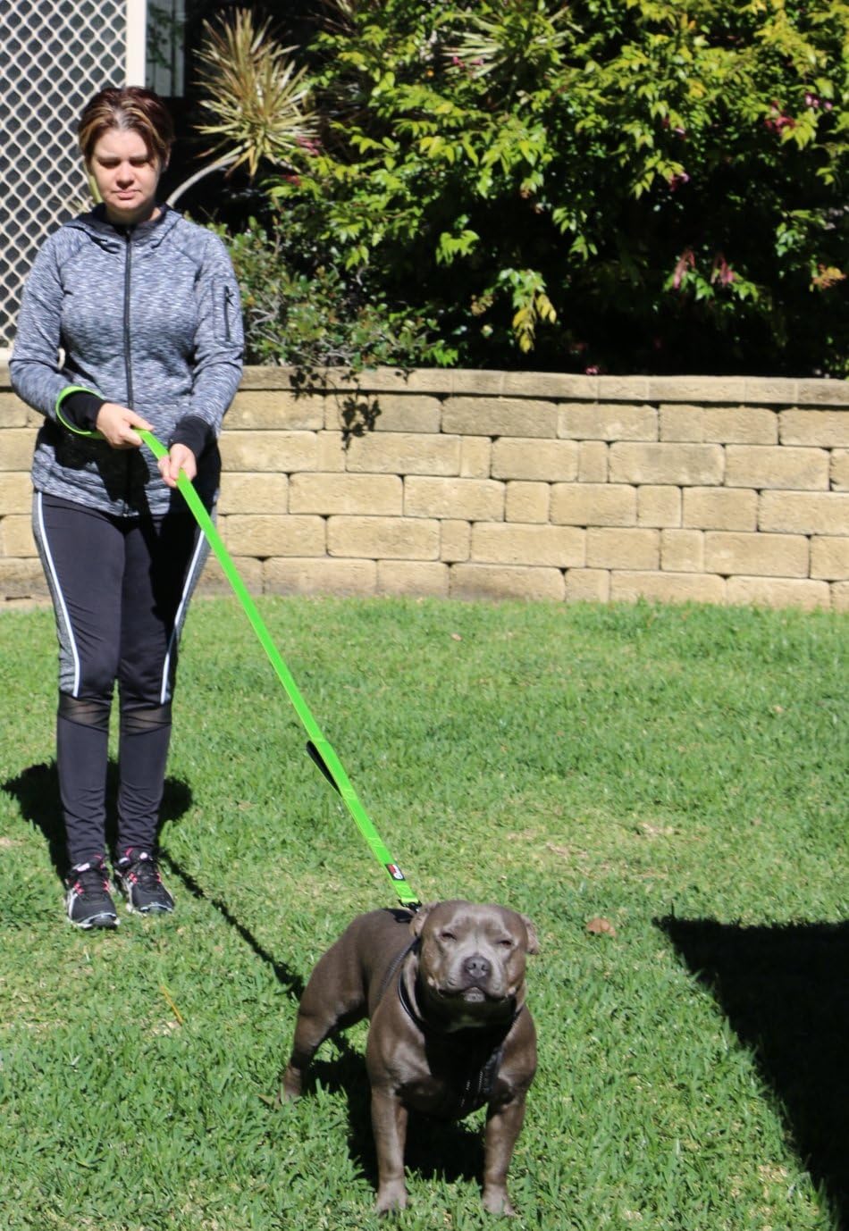 Dog Leash 6ft Long, Traffic Padded Two Handle, Heavy Duty - 6FT / Green - image 4