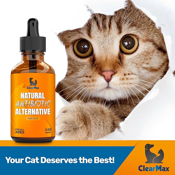 Cat Antibiotic to Help with Cough & Allergies – Antibiotics for Cats to Aid with UTIs and Digestive Moments – HIPS & Joints Support – Attractive Chicken Taste – 2 Oz Bottle