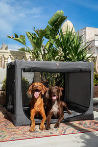 Noah & Paw XXL Collapsible Dog Crate, 42" - Grey / 42.0"L x 31.0"W x 31.0"H - image 2