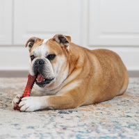 Nylabone Power Chew Basted Blast Dog Chew Toy - Beef Jerky / X-Large - image 2