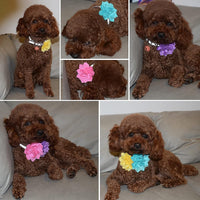 Dog Collar Flowers Attachement Bow Tie Accessories for Pet Grooming - Light - image 4