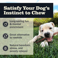 Redbarn Pet Products All Natural 8-12" Bully Sticks for Medium/Large Dogs - Healthy Long Lasting Chews Variety Party Pack - 100% Beef Single Ingredient Low Odor Rawhide Free - 1lb - Packaging May Vary